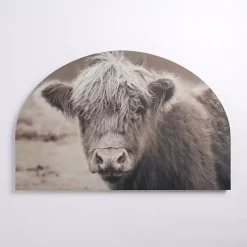 Highland Cow Arched Canvas Art Print