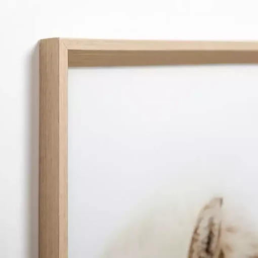 Horse Snuggle Framed Art Print