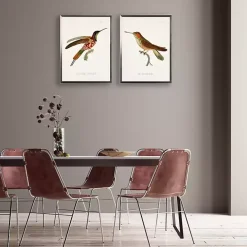 Hummingbird I Framed Art Print