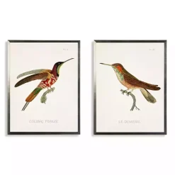 Hummingbirds I Framed Art Prints, Set of 2
