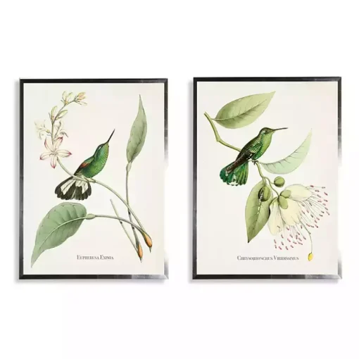 Hummingbirds on Flowers 2-pc. Framed Art Print Set