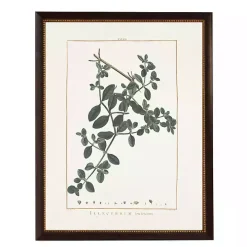 Illecebrum Greenery Black Beaded Framed Art Print
