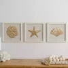 Ivory and Gold Shell Shadow Wall Plaques, Set of 3
