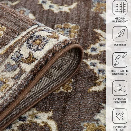 Jordan Bea Brown Area Rug, 7x10