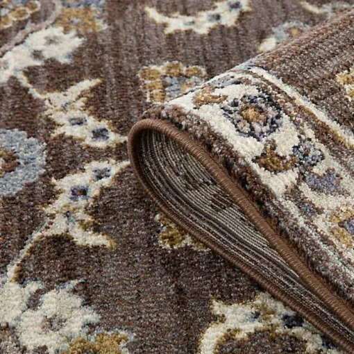 Jordan Bea Brown Area Rug, 7x10