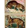 Jungle Cats Framed Art Prints, Set of 2