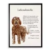 Labradoodle Facts Framed Wall Plaque