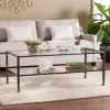Mara Glass and Black Metal Coffee Table