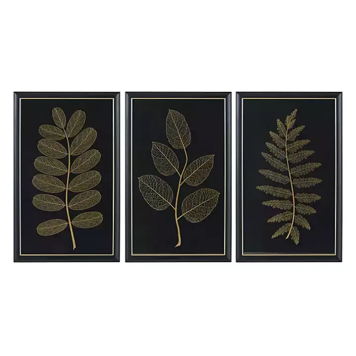 Martha Stewart Botanical Framed Prints, Set of 3