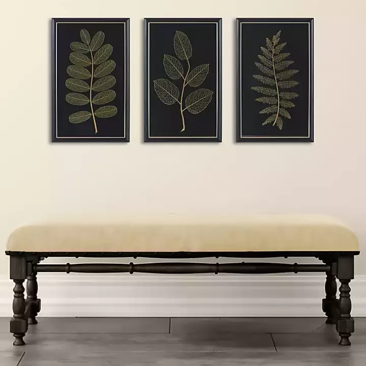 Martha Stewart Botanical Framed Prints, Set of 3