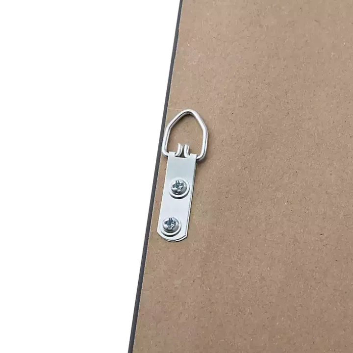 Martha Stewart Botanical Framed Prints, Set of 3