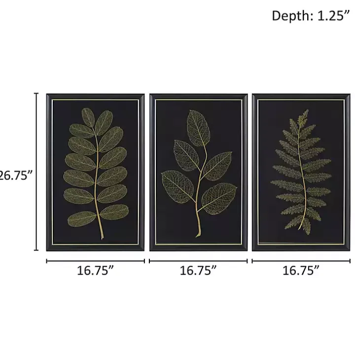 Martha Stewart Botanical Framed Prints, Set of 3