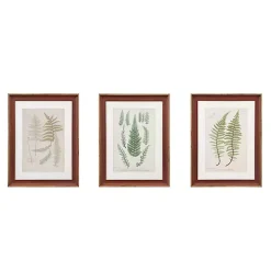 Martha Stewart Lady Fern Framed Art Print Set