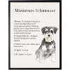 Miniature Schnauzer Facts Framed Wall Plaque
