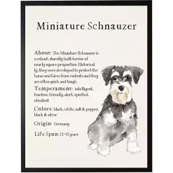 Miniature Schnauzer Facts Framed Wall Plaque