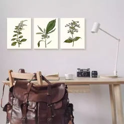 Minimal Soft Flowers Framed Art Prints, Set of 3