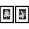Misty Branches Framed Art Prints, Set of 2