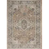 Multicolor Nadia Medallion Area Rug, 4x6
