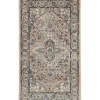 Multicolor Nadia Medallion Area Rug, 2x4