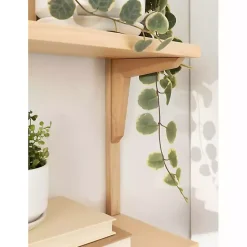 Natural Wood Traditional Two-Tiered Wall Shelf