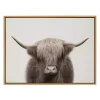 Neutral Highland Cow Framed Canvas Print, 28x38