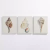 Neutral Seashells Canvas Art Prints, Set of 3