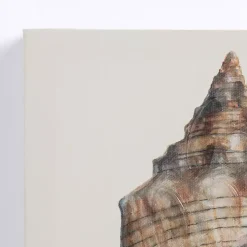 Neutral Seashells Canvas Art Prints, Set of 3