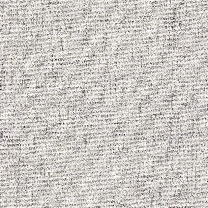 Neutral Upholstered Wood Frame Chairs, Set of 2