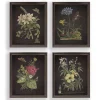 Night Butterfly Blooms Framed Art Prints, Set of 4