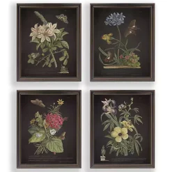 Night Butterfly Blooms Framed Art Prints, Set of 4