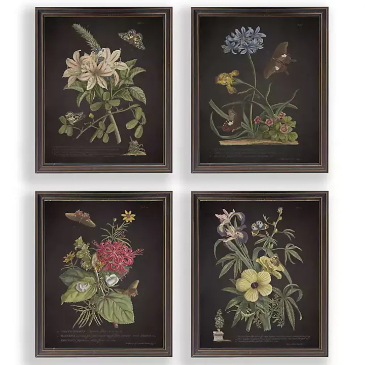 Night Butterfly Blooms Framed Art Prints, Set of 4