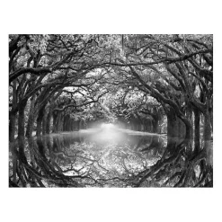 Oak Alley Reflection Giclee Canvas Art Print