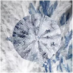 Ocean Collection 2 Canvas Art Print