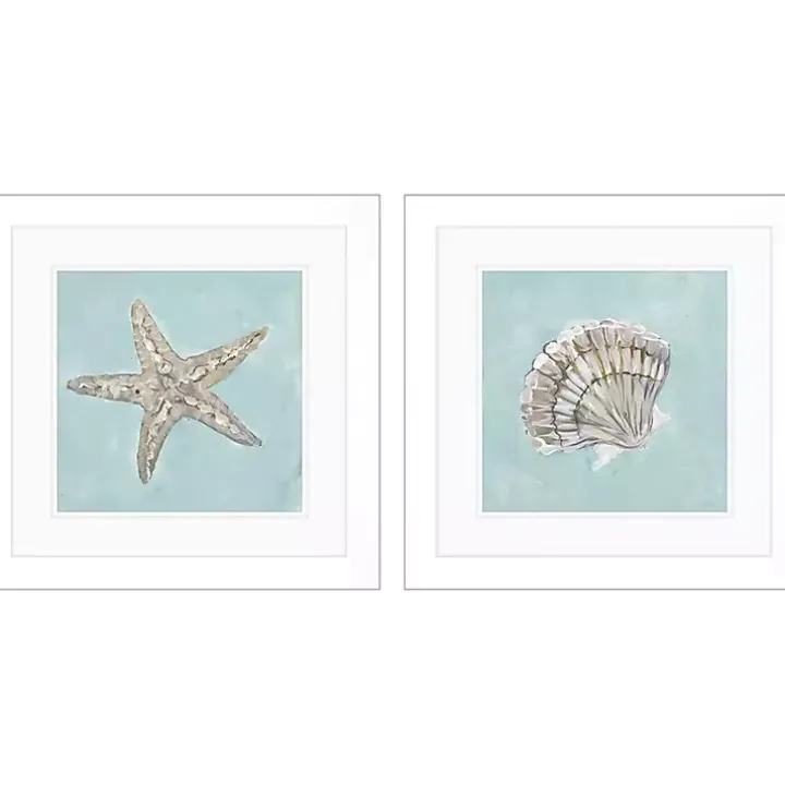 Ocean Seashells II Framed Art Prints, Set of 2