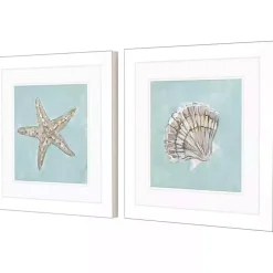 Ocean Seashells II Framed Art Prints, Set of 2