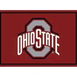 Ohio State University Area Rug, 4x6