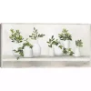 Plant Shelf Life Framed Canvas Art Print