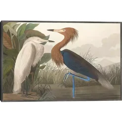Purple Heron Framed Canvas Art Print