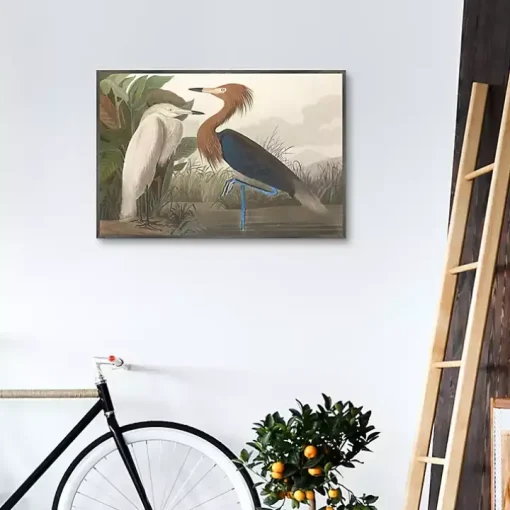 Purple Heron Framed Canvas Art Print