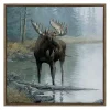 Quiet Water Moose Framed Canvas Art Print