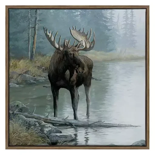 Quiet Water Moose Framed Canvas Art Print