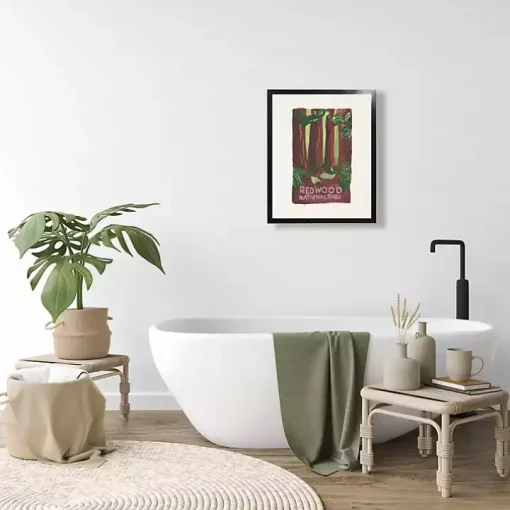 Redwood National Park Framed Art Print