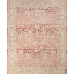 Salmon Vintage Border Area Rug, 5x7