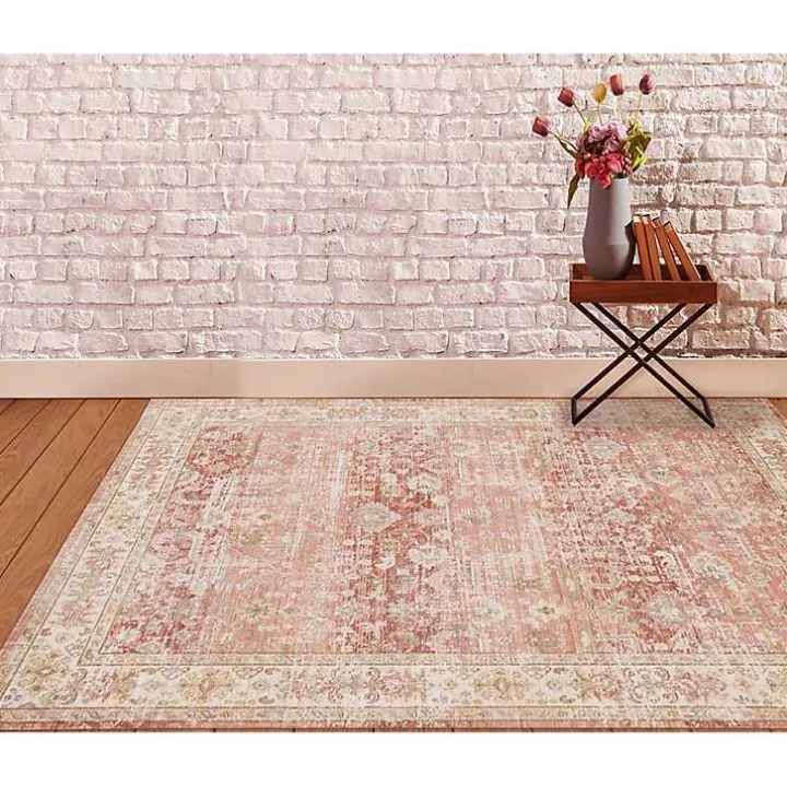 Salmon Vintage Border Area Rug, 5x7