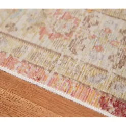 Salmon Vintage Border Area Rug