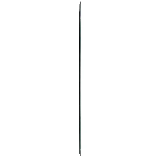 Scalloped Rectangular Frameless Wall Mirror