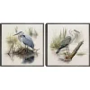 Seabird Portrait Framed Canvas Prints, Set of 2