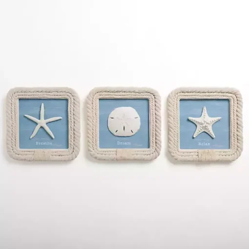 Seashell Rope Trim Wall Plaques, Set of 3