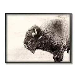 Shaggy Buffalo Black Framed Canvas Art Print