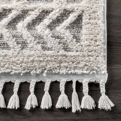 Shaggy Lattice Tassel Ansley Area Rug, 5x7